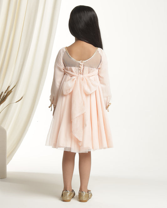 Girls Beige Long Sleeves Net Party Dress